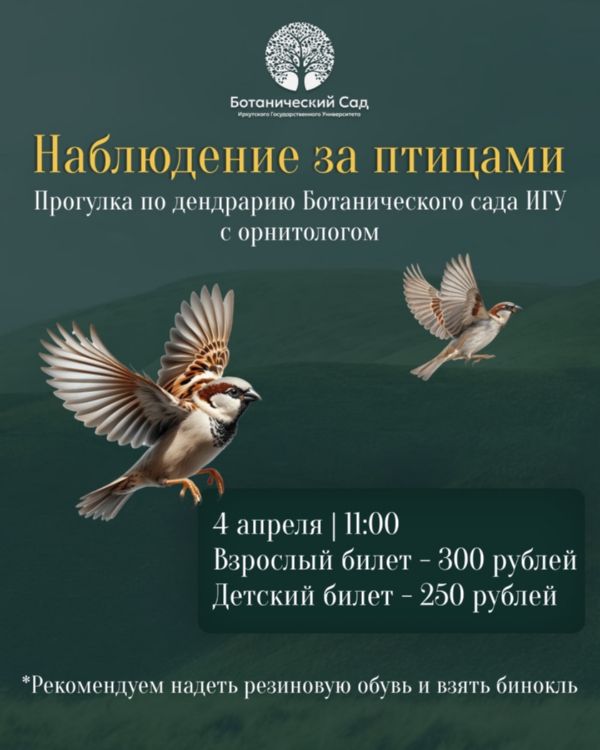 Наблюдение за птицами в Ботаническом саду ИГУ