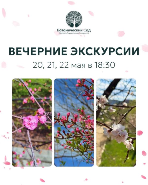 вечерние экскурсии