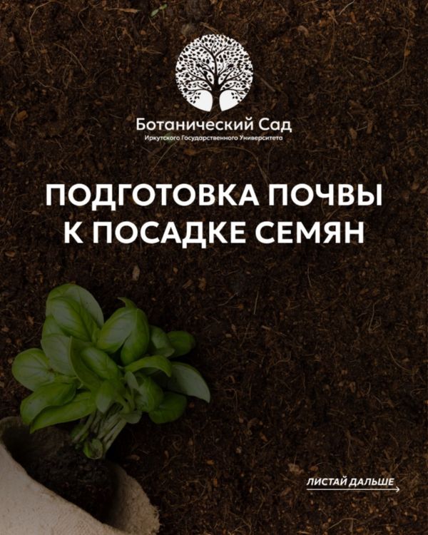 Пора посадок