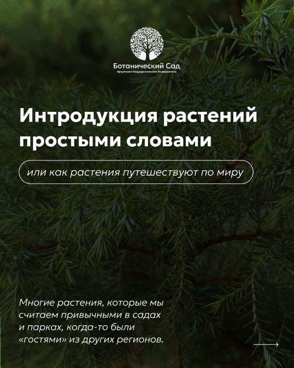 Как растения путешествуют по миру?