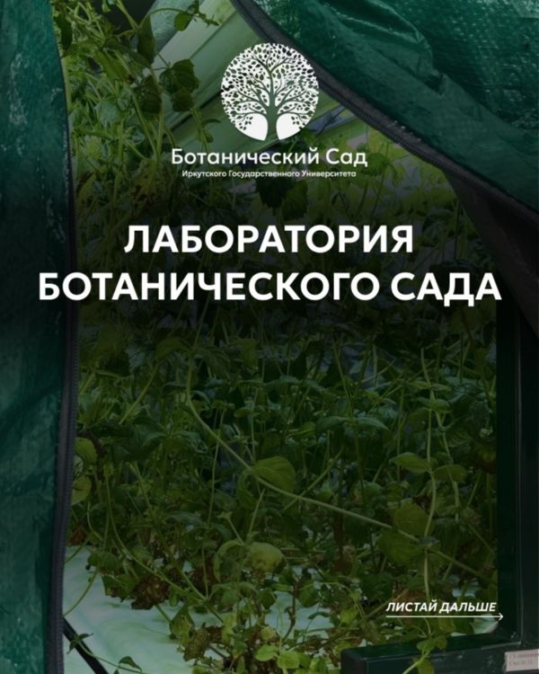 Немного о Биотехнологической лаборатории