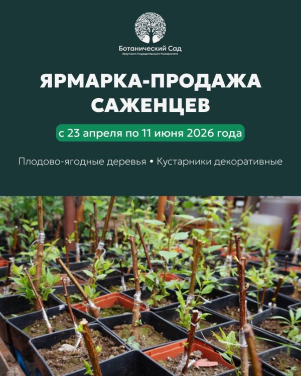 Ярмарка-продажа саженцев
