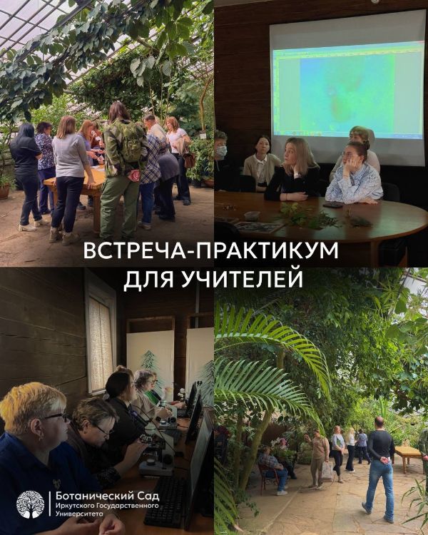 встреча-практикум «Экология - необходимая составляющая естественно-научного образования» - отчёт