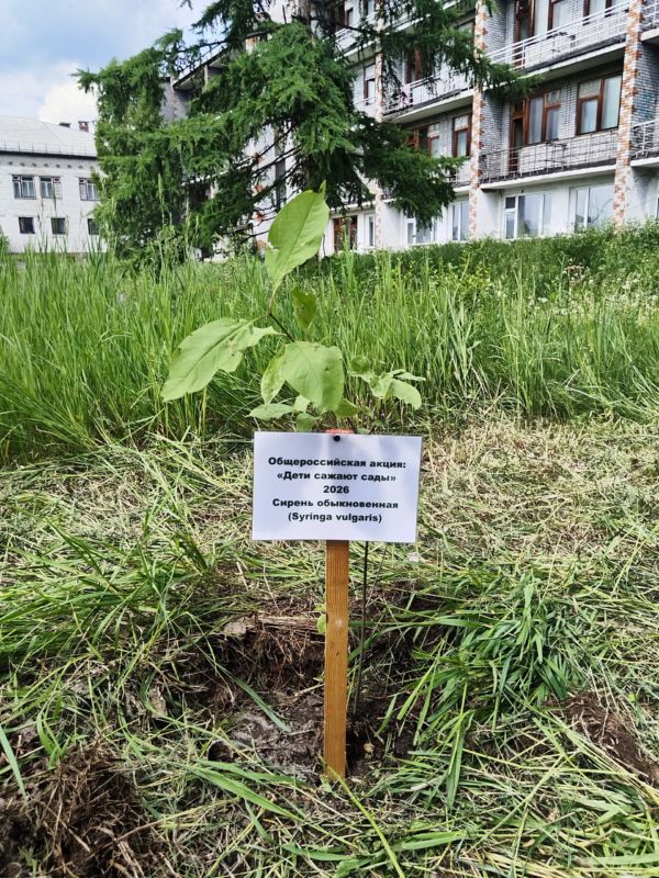 проект «Экспедиция «Северный маршрут»